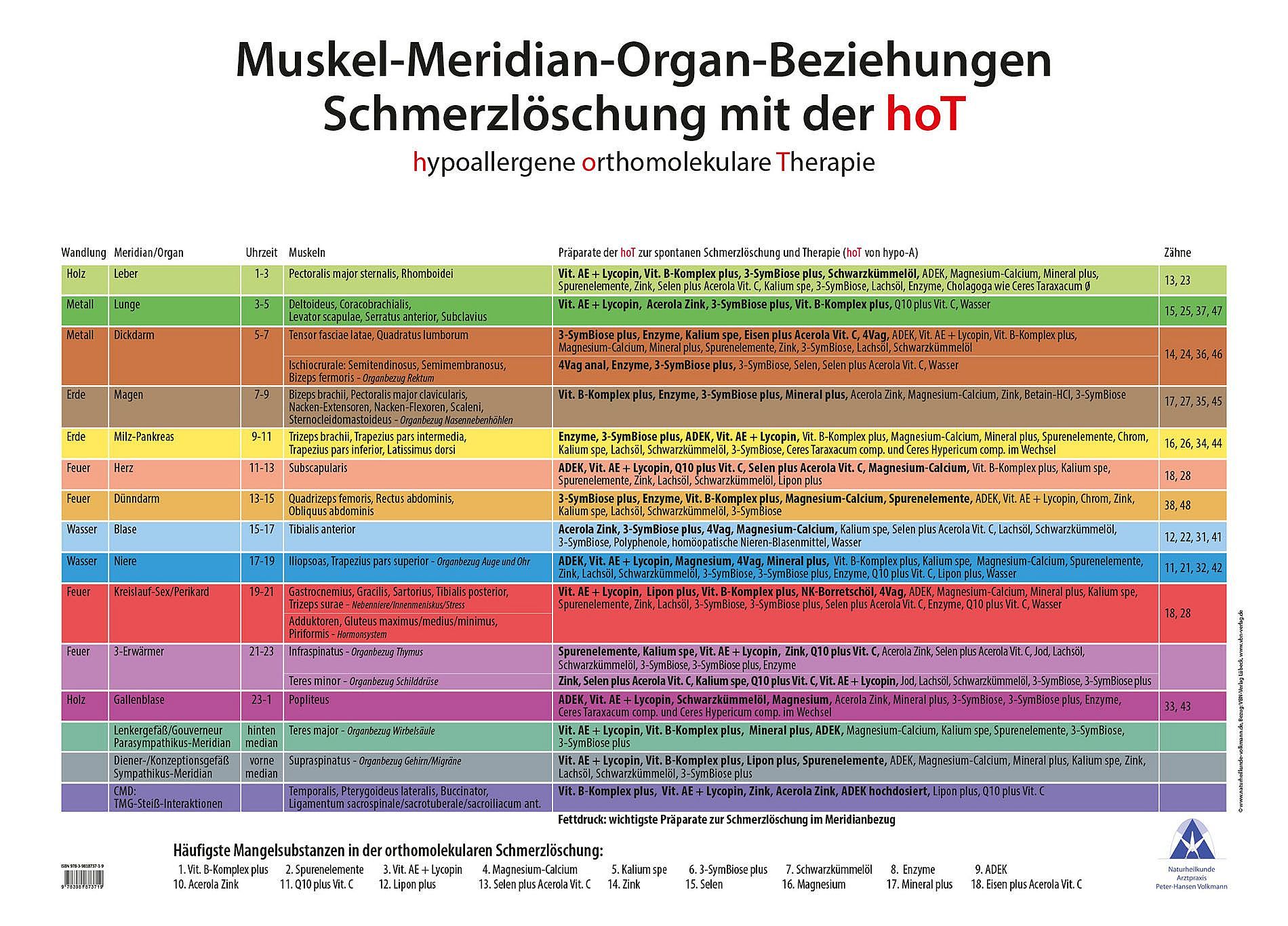 Muskel-Meridian-Organ-Beziehungen