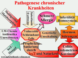 Pathogenese chronische Krankheiten